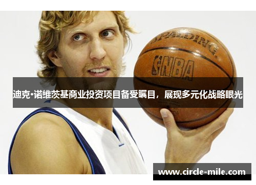 迪克·诺维茨基商业投资项目备受瞩目，展现多元化战略眼光