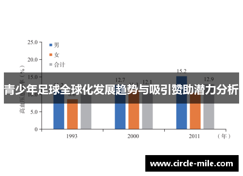 青少年足球全球化发展趋势与吸引赞助潜力分析