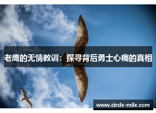 老鹰的无情教训:探寻背后勇士心痛的真相 老鹰的无情教训:探寻背后勇士心痛的真相