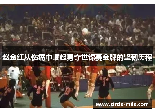 赵金红从伤痛中崛起勇夺世锦赛金牌的坚韧历程 赵金红从伤痛中崛起勇夺世锦赛金牌的坚韧历程